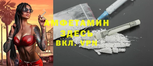 молекула духа Инсар