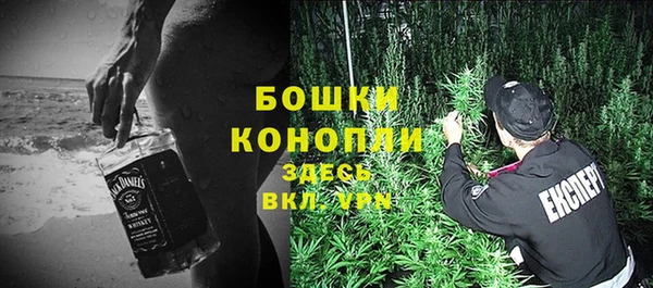 дживик Зеленокумск