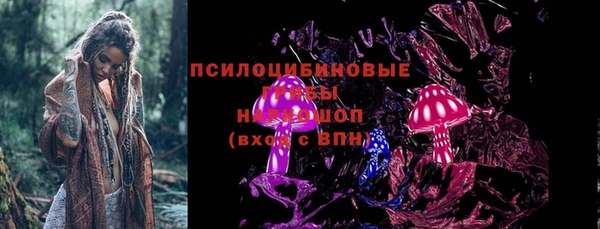 молекула духа Инсар