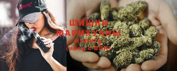 дживик Зеленокумск