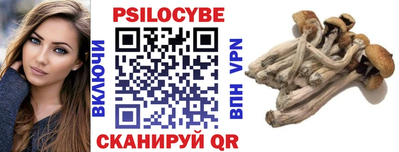 Псилоцибиновые грибы Psilocybe  Купить где  Лебедянь 